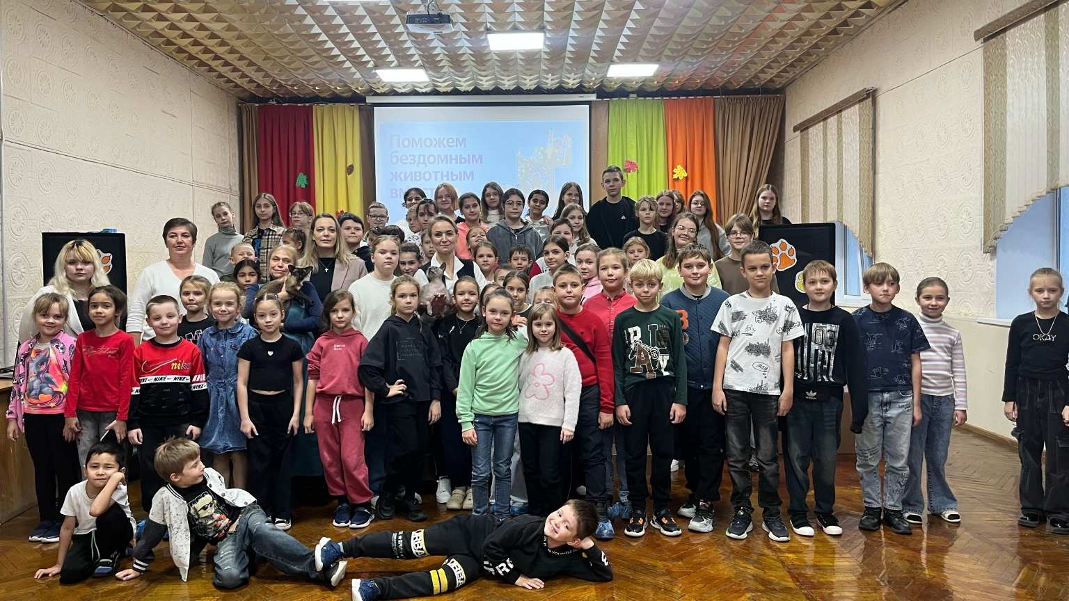 Закрытие акции по сбору корма для бездомных животных