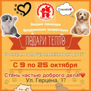 АКЦИЯ «ПОДАРИ ТЕПЛО!»